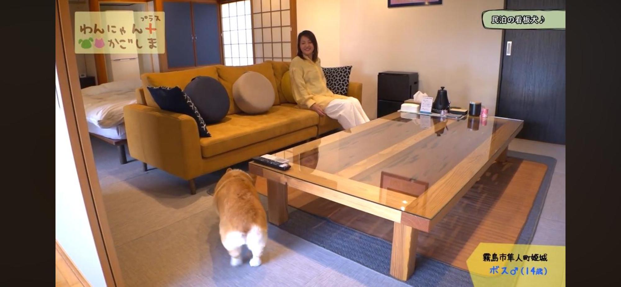 Boss'Shouse 犬ok 1組限定の宿 Kirishima Esterno foto